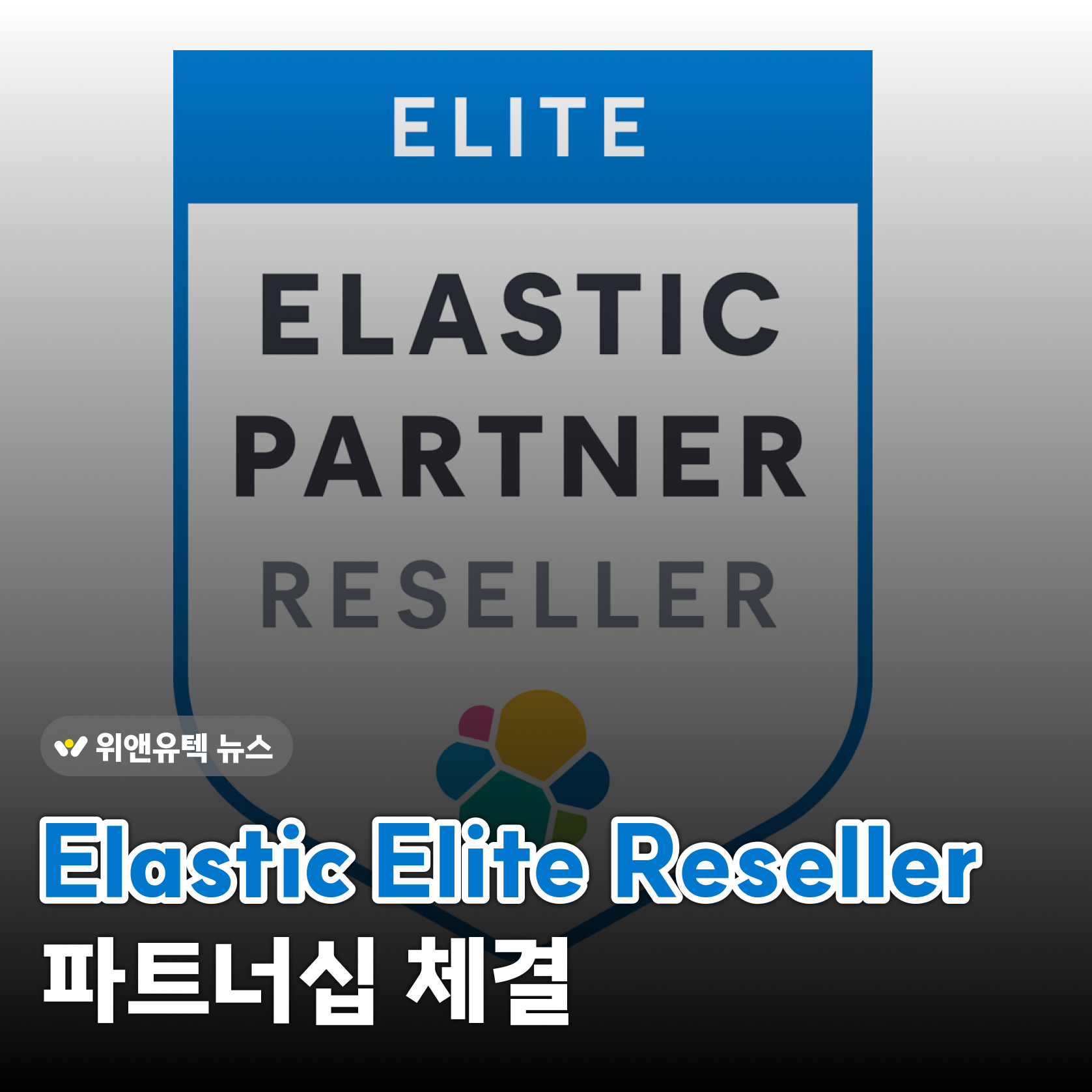 WNYT News💡 Elastic Elite Reseller 파트너십 체결