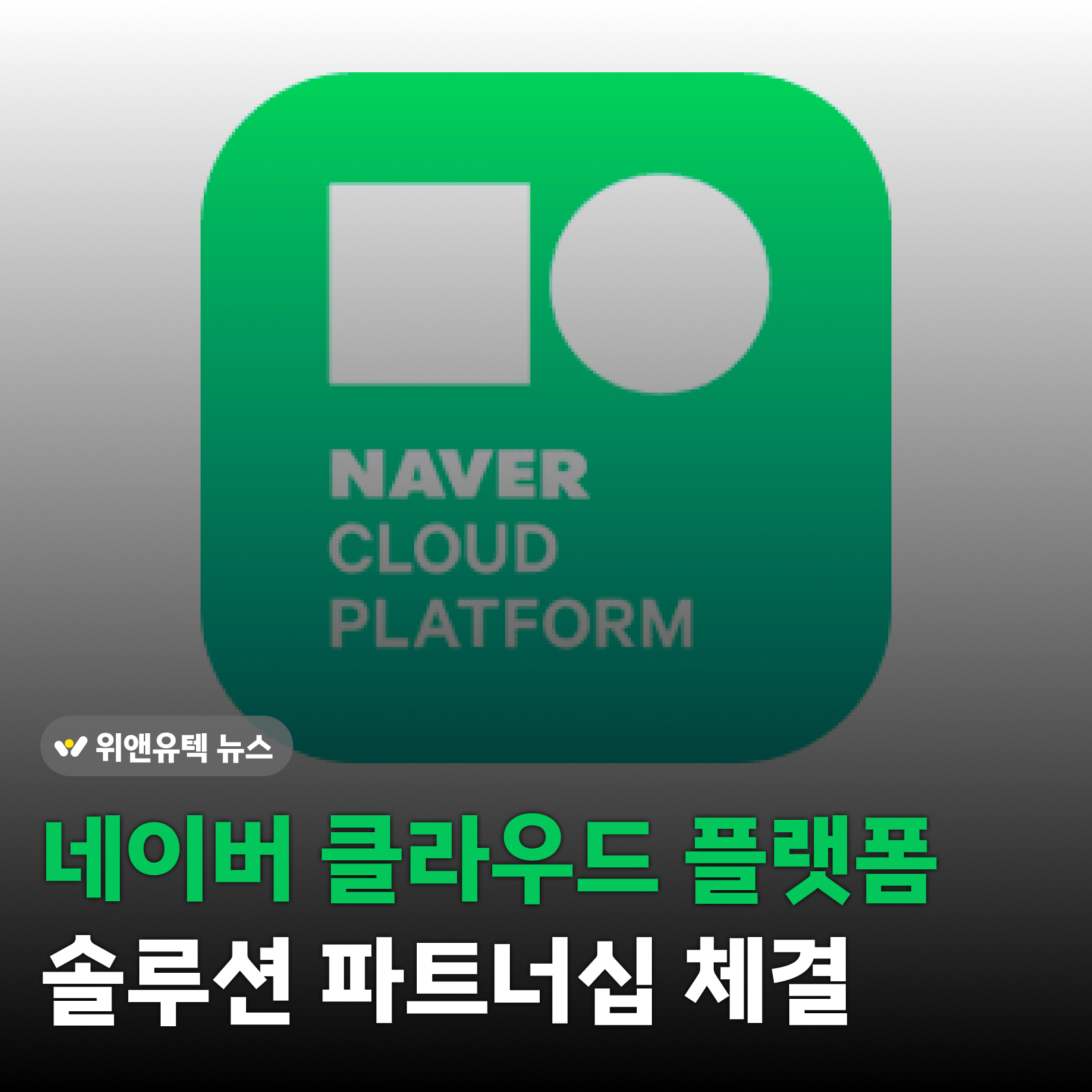 WNYT News💡 네이버 클라우드 플랫폼 솔루션 파트너십 체결
